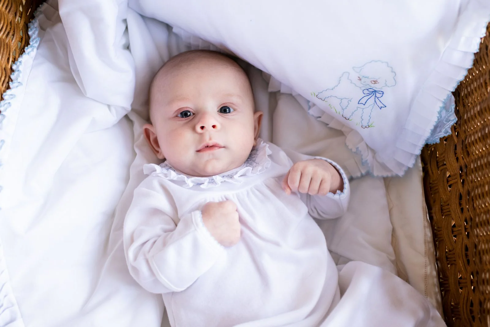 BABY LUCY & MAX COTTON KNIT SACK - Image 4